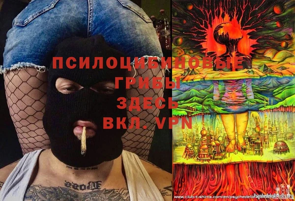 бошки Новокубанск