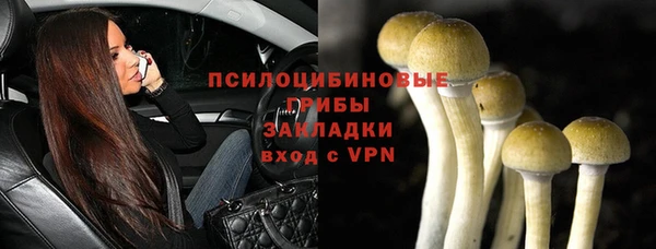 твердый Нефтегорск
