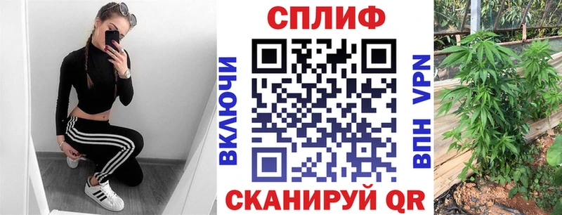 Купить закладки  Щёлкино  Канабис AK-47 